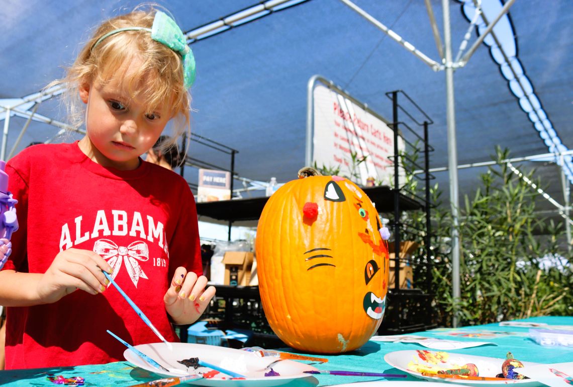 Pumpkins, alpacas, more draw crowd for Pumpkin Palooza Pumpkins, alpacas, more draw crowd for Pumpkin Palooza