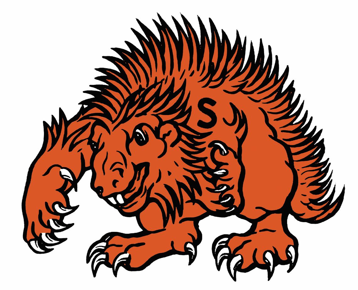 SISD receives perfect 100 on financial integrity rating SISD receives perfect 100 on financial integrity rating