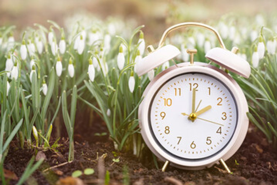 Spring forward!