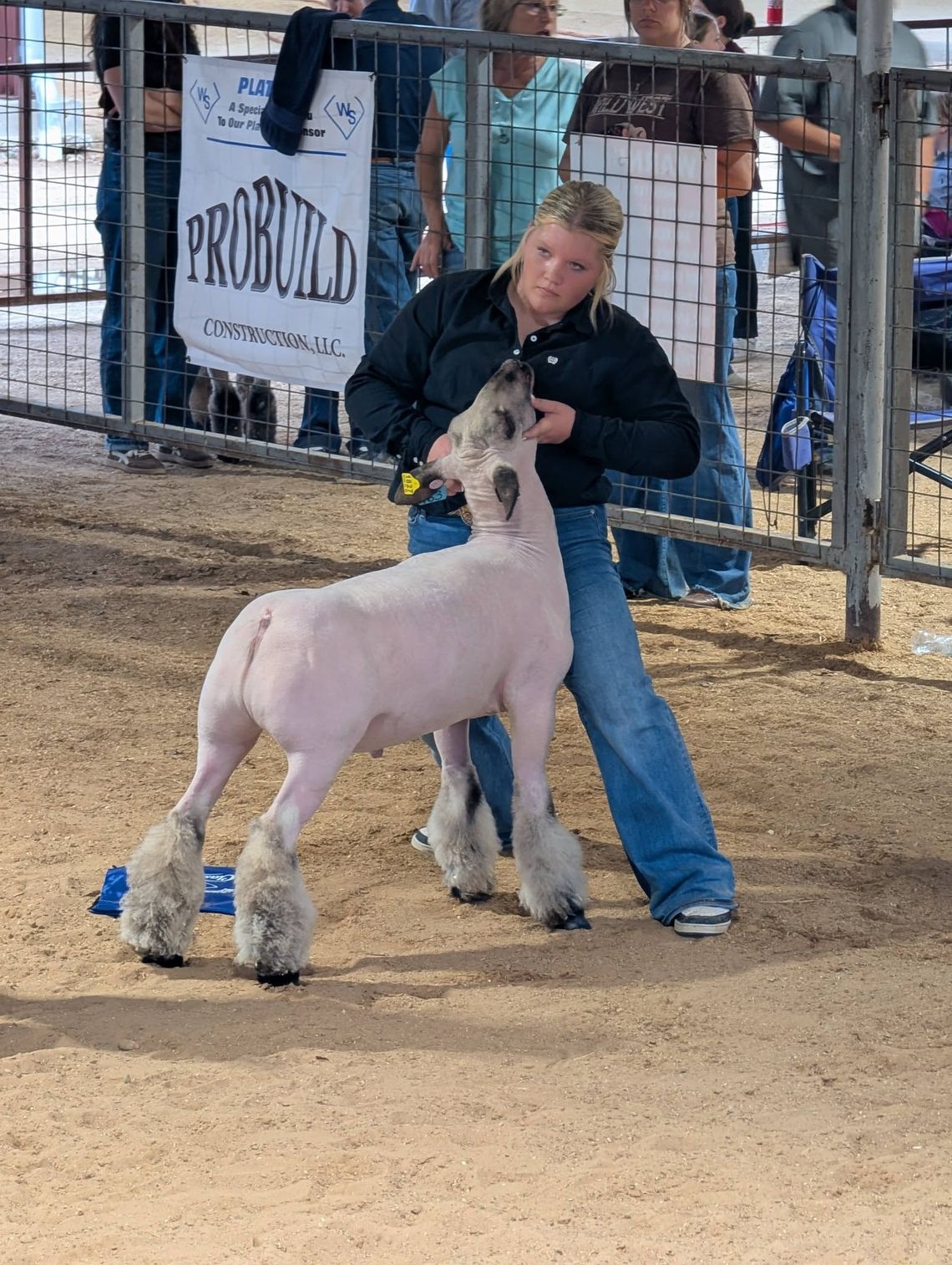 Springtown FFA caps busy season with strong showings