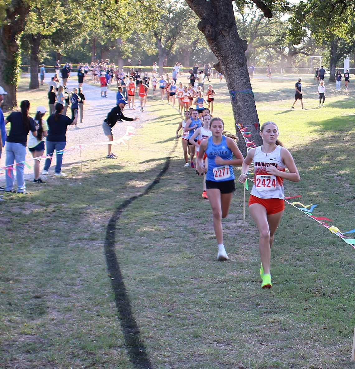 Springtown runners bound for regionals