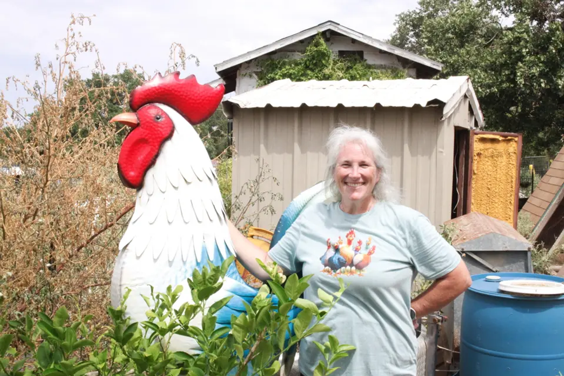 ‘Suburban princess’ becomes self-taught farmer