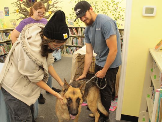 Checking out fur-ever friends